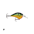 Isca artificial rapala dt series 10 - 10 cores - Imagem 7