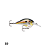 Isca artificial rapala dt series 10 - 10 cores - Imagem 9