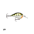 Isca artificial rapala dt series 10 - 10 cores - Imagem 10