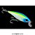 Isca Artificial Borboleta Bandida - Imagem 8