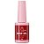 Base Gel Anylovy 9g - Imagem 1