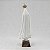 Imagem Nossa Senhora de Fatima de Portugal Florida Olho de Vidro Importada Resina 25 cm - Imagem 6