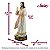 Imagem Jesus Misericordioso Resina 20 cm - Imagem 2