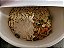 Big Bowl Frango (kailo) VEGANO - Imagem 20