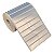 Etiqueta adesiva 50x15mm 5x1,5cm (2 colunas) Poliéster Cromo Fosco p/ Zebra Argox Elgin - Rolo c/ 3332 (30m) - Imagem 1