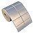 Etiqueta adesiva 50x30mm 5x3cm (2 colunas) Poliéster Cromo Fosco p/ Zebra Argox Elgin - Rolo c/ 1818 (30m) - Imagem 1