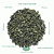 Chá verde importado - Imagem 2