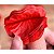200 PÉTALAS DE ROSAS ARTIFICIAIS - Imagem 2