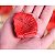 200 PÉTALAS DE ROSAS ARTIFICIAIS - Imagem 3