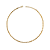 Choker de Corrente Dourada Elos Finos CL324 - Imagem 1