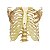 Esqueleto Humano 1,70m Mod. Anatômico + Suporte Com Rodas Anatomic - Imagem 3