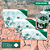 Kit Oriental Verde 1 - 300 unid. + Brinde - Imagem 1