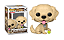 [#Pré-venda] - Funko Pop - Golden Retriever - Pets (15) - Imagem 1