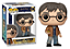 [#Vempraloja] - Funko Pop - Harry Potter - Harry Potter (196) - Imagem 1
