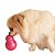 Bonequinha – tamanho m - Imagem 6
