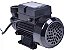 BOMBA PERIFÉRICA 1/2 HP 127V - Imagem 3