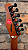 GUITARRA TAGIMA STELLA MAHOGANY — NOVA COM AVARIA ESTÉTICA - Imagem 3