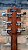 VIOLAO TAKAMINE GD30 CE FOLK NATURAL - Imagem 5