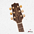 VIOLAO TAKAMINE GD71 - Imagem 4