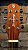 VIOLÃO STRINBERG SD201 HCR FOLK MGS MAHOGANY FOSCO C/ CAPA - Imagem 8