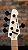 BAIXO WALDMAN MUSIC MAN 5C MMB-724BRA SIG BRAGUINHA 5 CORDAS C/ CAPA - Imagem 4