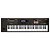 TECLADO ROLAND XPS-30 PRETO - Imagem 3