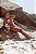 Nude Canelado - Top Lilly Cortininha - Imagem 3