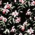 Papel Adesivo Floral Fundo Preto - Imagem 1