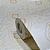 Papel de Parede Arabesco Tons de Bege Rolo com 10 Metros - Imagem 5