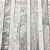 Papel de Parede Pedras Tons Claros Rolo com 10 Metros - Imagem 1