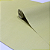 Papel de Parede Texturizado em Tom de Verde Rolo com 10 Metros - Imagem 3