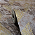 Papel de Parede Geométrico Tons de Dourado Rolo com 10 Metros - Imagem 5