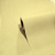 Papel de Parede Importado Importado Amarelo com efeitos 10 Metros - Imagem 7