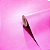 Papel de Parede Importado Rosa Pink 10 Metros - Imagem 7