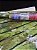 Papel de Parede Tijolinho Verde Abstrato 10 Metros - Imagem 3