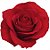 Rosas Vermelhas Nacionais - 01 Pacote com 20 unidades - Escolha o tamanho abaixo: - Imagem 9