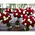 Rosas Vermelhas Nacionais - 01 Pacote com 20 unidades - Escolha o tamanho abaixo: - Imagem 8