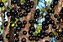 ESSÊNCIA  JABUTICABA 100ML - Imagem 1