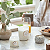MINI VELA VOLUSPA LATA EUCALYPTUS & WHITE SAGE - 25H - Imagem 4
