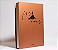CAIXA LIVRO DECORATIVA BOOK BOX METALIZADO FOR EVER - 36x27x5CM - Imagem 2
