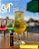 SYR UP! Saborizante de Bebida Sabor Tangerina 12ml - Imagem 2