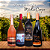 KIT APRESENTAÇÃO MÉDIO CORPO - 4un.Vinhos VILLAGGIO CONTI - Imagem 1