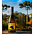 Vinho Branco RIBOLLA GIALLA 2025 750ml - Imagem 2