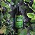 Shampoo Anti queda & Crescimento 250ml | Com Fatores de Crescimento | Salunat - Imagem 2