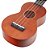 UKULELE SOPRANO SERIE RAINBOW NATUTAL - Imagem 6