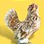 Belgian Mottled Amarelo - Ovo Galado - Imagem 1