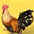 Braeckel Lemon - Ovo Galado - Imagem 1