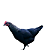 Ovos Galados de Norfolk Gray - Imagem 1