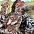 Ovos Galados de GSB Sertaneja Balão - Imagem 5