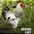 Brahma Light - Ovo Galado - Imagem 2